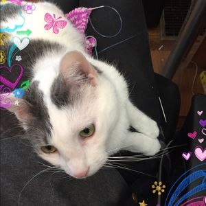 Meet your Posher, Alexandra